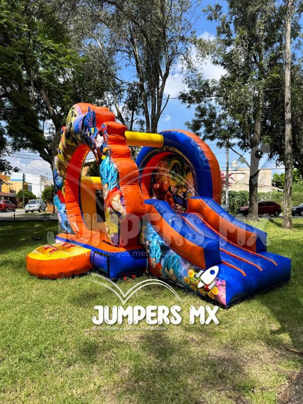 8 Circular con Rampa Dragon Jumpers MX