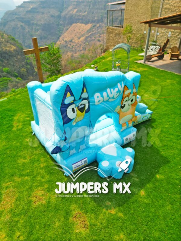 MURO CON RAMPA BLUEY - Imagen 3
