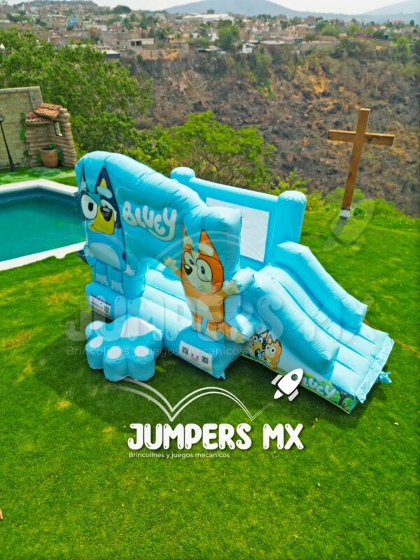 MURO CON RAMPA BLUEY - Imagen 4